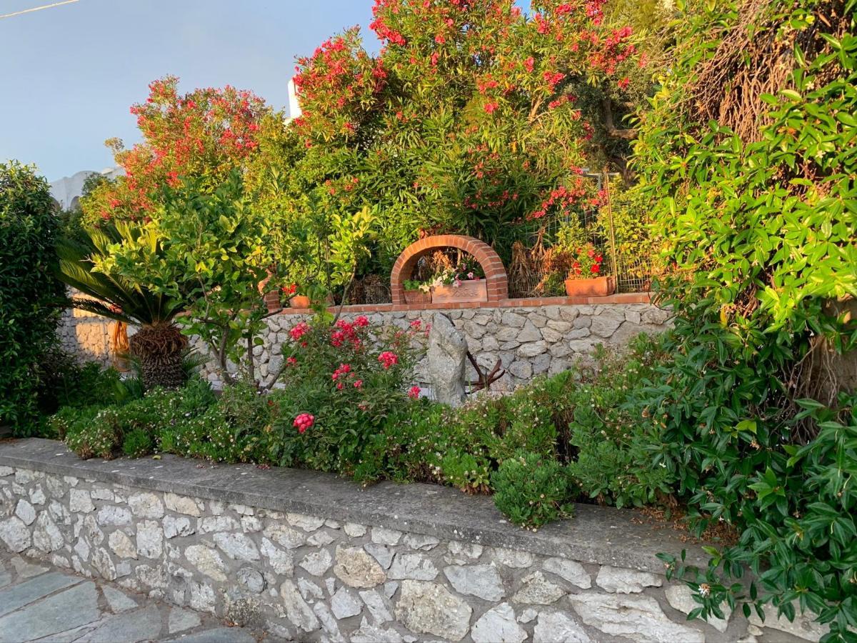 Il Merlo Anacapri  Exterior foto